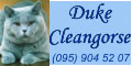 Питомник Duke Cleangorse